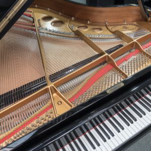Used Steinway Model O Grand