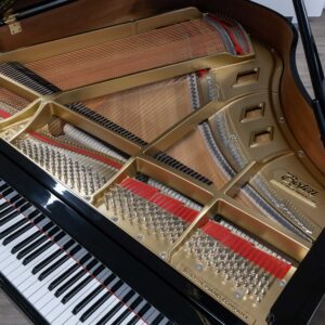 Boston 156 grand polished black