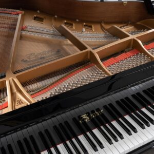 Boston 156 grand black