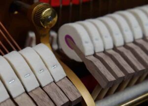 Action-Repairs-and-regulation-new-crop-optim