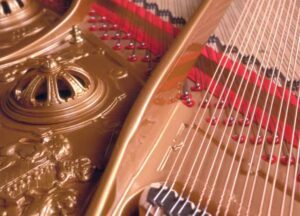 Bridge-cap-replacement-new-crop-optim