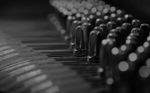 CHP_Header Image_About-2-optim