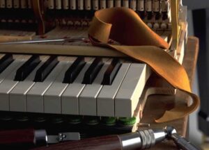 Key-and-action-regulation-new-crop-optim