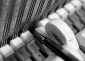 Re-establishing-tuning-stability-new-crop-optim