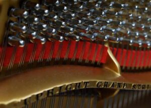 Replacement-Felts-new-crop-optim