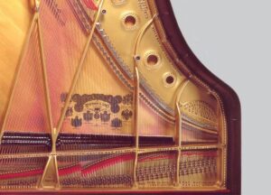 Total-Acoustic-Renovation-new-crop-optim