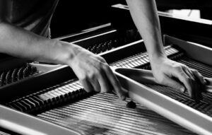 why-chp-a-new-journey-2-optim