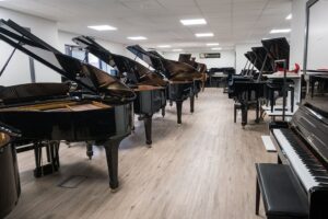 DSCF7206_1000x667-optim