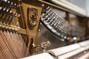 Sauter FXT38698_1000x667-optim