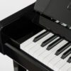 Sauter artisan 124 upright slip standard polished black