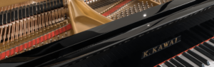 Most popular grand pianos of 2023