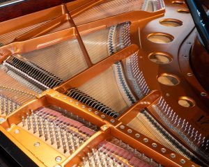 Bosendorfer-214VC-Gustav-Klimt-6