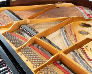 SchreinerSohn-GP-148-6