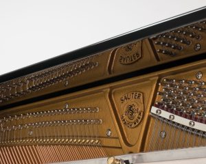 sauter-130-sonder-_DSF5840-scaled